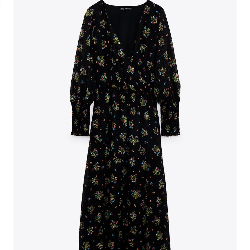 Zara Printed Dotted Mesh Dress - Picture 4 of 7
